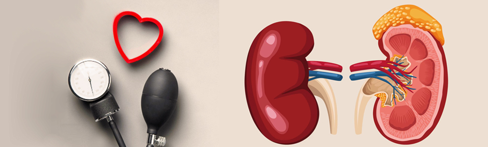 Blood Pressure and Kidney Disease: Why Control Matters