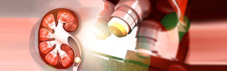 Kidney Disease Blood and Urine Tests Explained