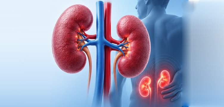 What Happens When Your Kidneys Fail? Understanding Kidney Failure