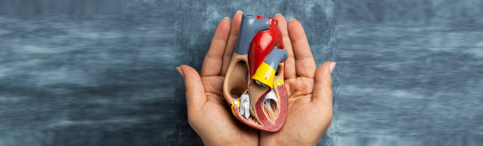 Potassium and Kidney Disease: A Practical Diet Guide
