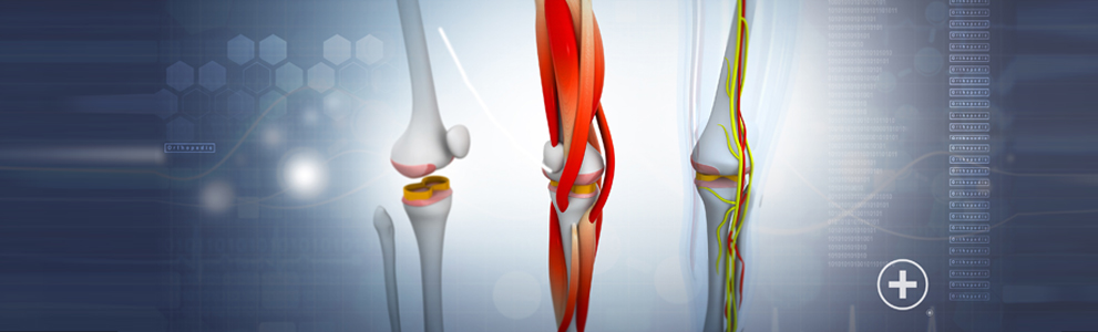 CKD and Bone Health: Understanding Mineral and Bone Disease